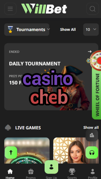 Casino Cheb - Czech Republic Casino Experience-www302.ydblkf.net