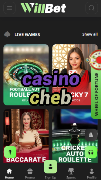 Casino Cheb - Czech Republic Casino Experience-www302.ydblkf.net