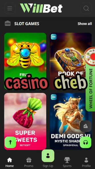 Casino Cheb - Czech Republic Casino Experience-www302.ydblkf.net